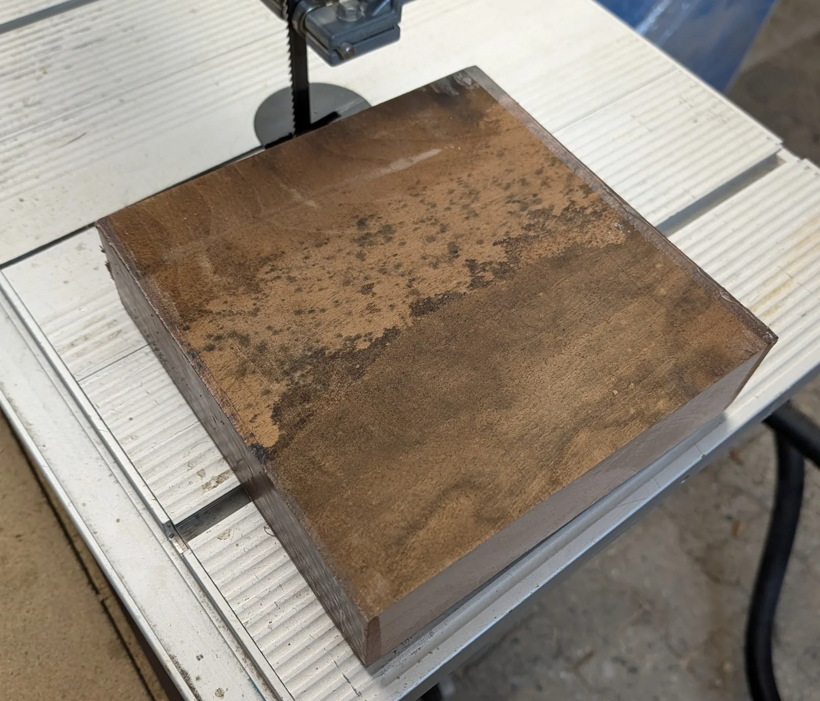 my beautiful block of walnut